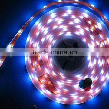 LED Christmas light waterproof Out door lighting LED Strip lights 5050SMD 20.1W/M