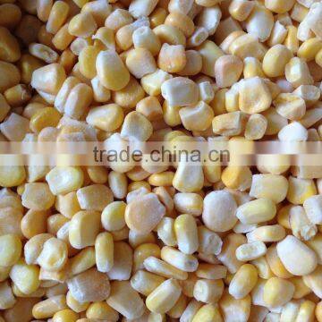 Frozen Sweet Corn Kernel photo-3