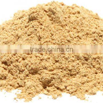 Organic Amla Powder Bulk Producers photo-2