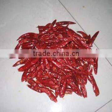 hot sale top quality small hot Chaotian Chili