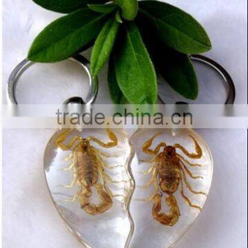 Wholesale Real Insect Crystal Chain, Crystal Customized Real Insect Key Chains