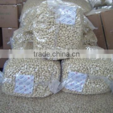 Certificated 25/29 blanched whole peanut kernels factory direct selling