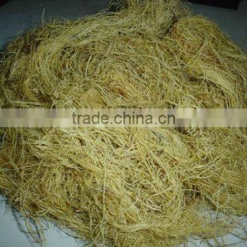 Gracilaria (seaweed)
