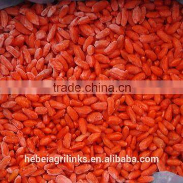 IQF frozen Medlar Goji fruit