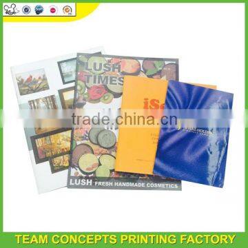 cheap luxury brochure printing service