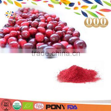 Cranberry Extract Beauty Skiny Drink Plant Extract Product