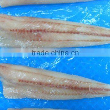 Frozen hake fillet