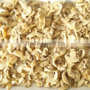 Wholesale Canned Mushroom with Fresh Mushroom