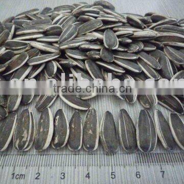 sunflower seeds