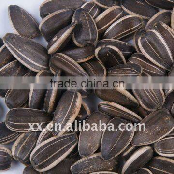 wholesale Chinese confectionery Black Striped Sunflower Seeds