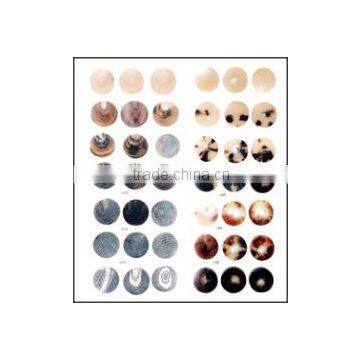 Buffalo Horn Buttons Blanks 1