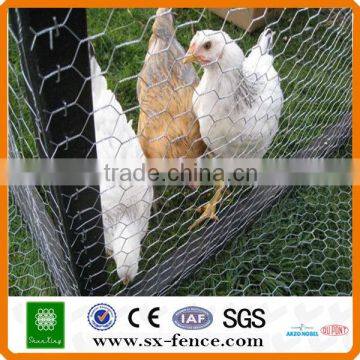 ISO9001:2008 poultry netting/chicken cages/animal cages