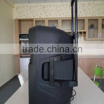 12 Inch Dotun Active Hottest Trolley Super Bass pa Speaker System With Usb and fm Radio photo-4