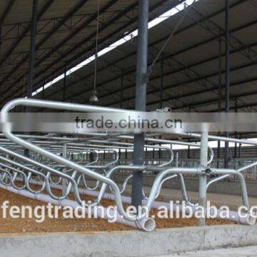 Cow Lying Bar, Cow Lying Bed, Cattle Bedrest photo-3