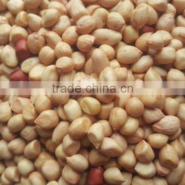Ground Nut Kernel