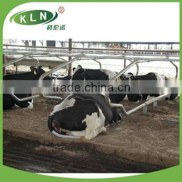 KLN cattle stall