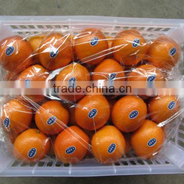 Fresh Navel Orange in 14kg plastic box