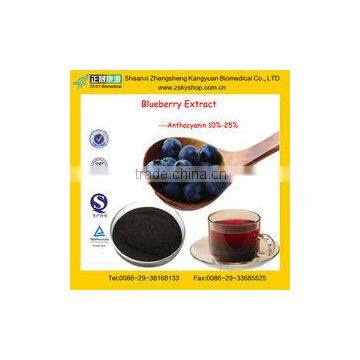 GMP Factory Supply Dried Blueberry Powder