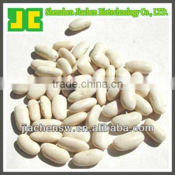 Naturall White kidney bean Extract Powder