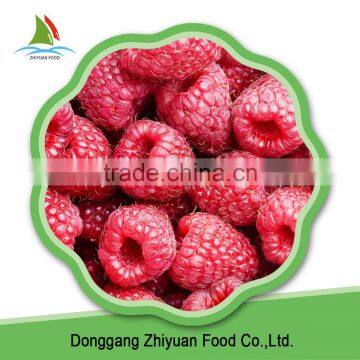 China IQF Frozen Bulk Red And Black Raspberry photo-6