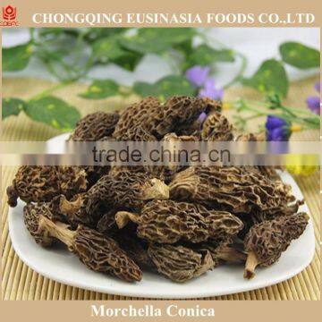 market prices for wild mushroom,morel mushroom price