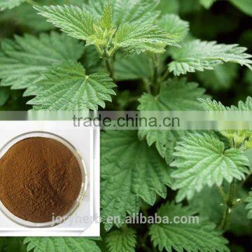 organic nettle extract powder