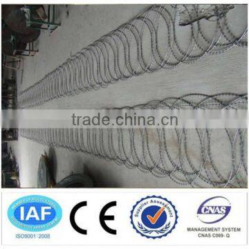 900mm hot dipped galvanized flat tape razor wire