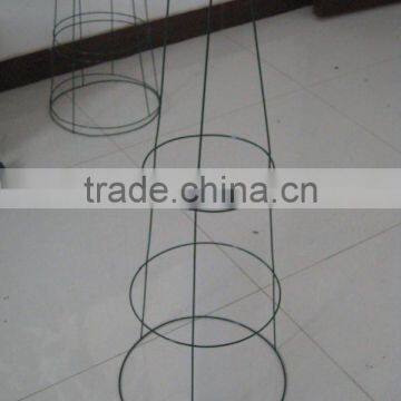 galvanized tomato cages