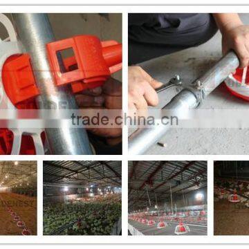 Automatic Chicken Farming Feeding Equipment| System