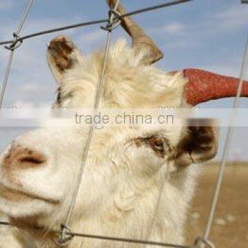 grassland fence for raising cattle/sheep/horse