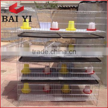 Trade Assurance Day Old Chicken Cage With Drinker and Feeder