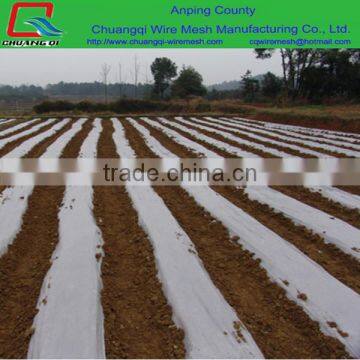 Price Film For single span Greenhouses Growing Vegetable/winter greenhouse film