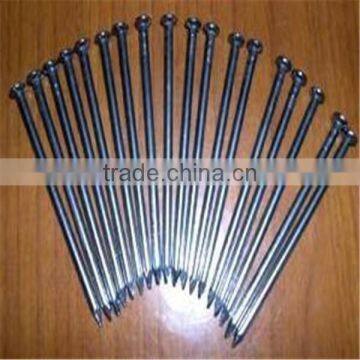 China Manufacturers Supply of Common Nails Polished for Wood photo-2