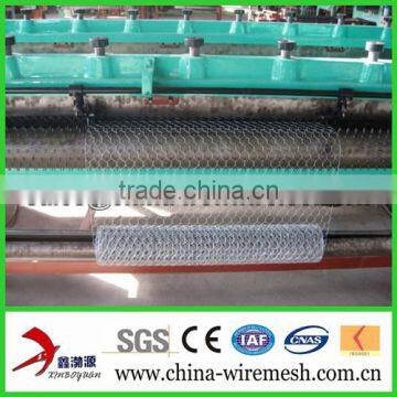 Hexagonal Fish Netting Mesh