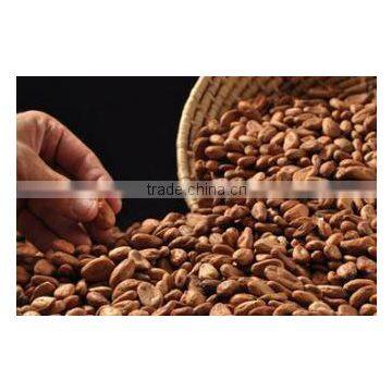 Cocoa Bean Cleaning Machine for Sale in Africa photo-6