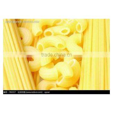 high quanlity automatic macaroni spaghetti processing line, macaroni making machine with CE