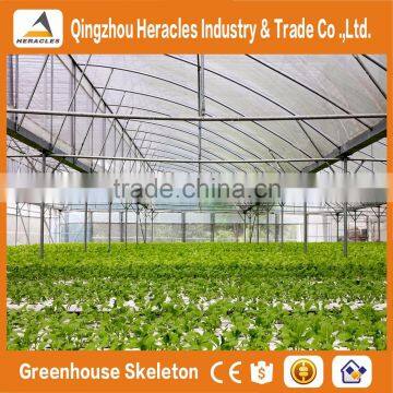 Heracles Trade Assurance Agricultural Greenhouse for Tomato photo-3
