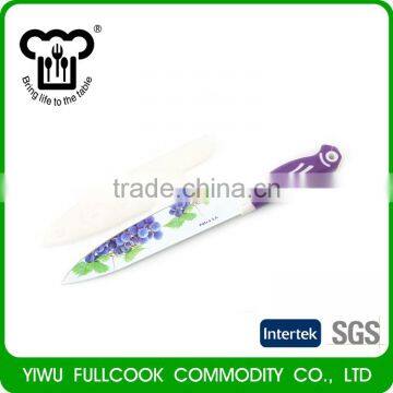 Latest Arrival Fruit Pattern Colored Stainless Paring Fruit Knife With Cover photo-6