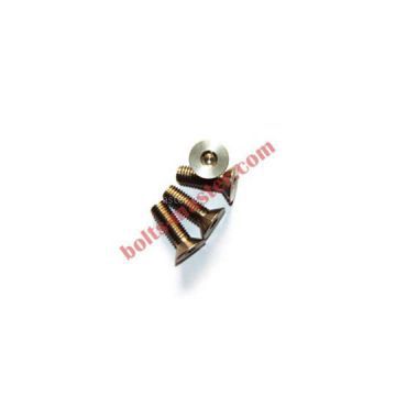 Titanium Slotted Flat Countersunk Head Screws