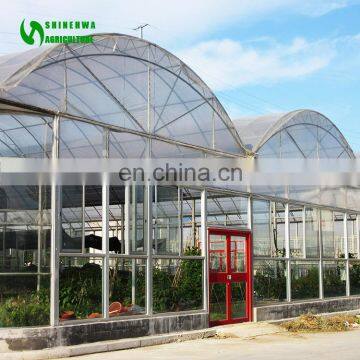 Cheap Wholesale Plastic Film Greenhouse/Protective Plastic Film