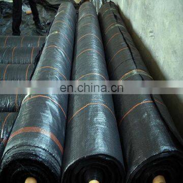 Agricultural Black Plastic Ground Cover/Plain woven mesh plastic weed control mat/Ground Cover Mesh Fabric