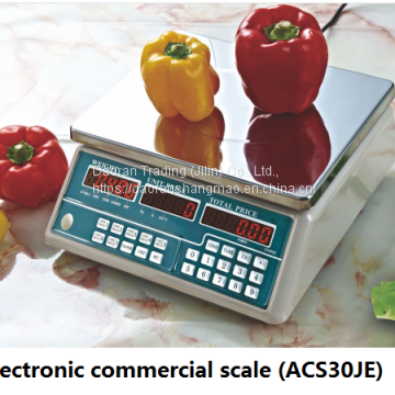 Commercial Scale photo-4