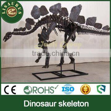 JLDF-0624 High quality dinosaur skeleton for Science museum