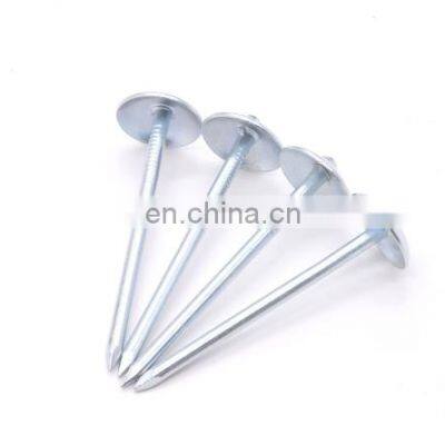 galvanized corrugated sheet nails smooth/plain shank umbrella head roofing nails direct factory hot sale