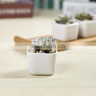 White porcelain vase modern style decorative vase for small succulent plant pots