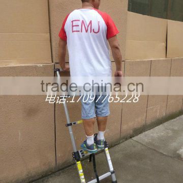 2m multifunction telescopic ladder