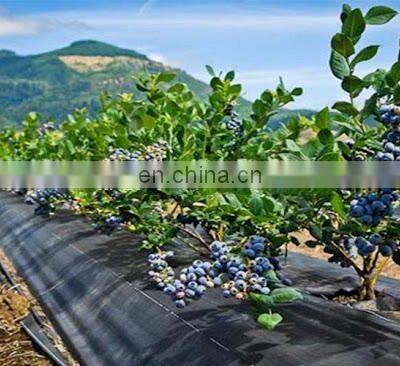 Anti Weed Mat 100% PP Woven Geotextile Weed Control Artificial Ground Cover For Blueberry photo-5