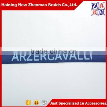 China Zhejiang Wholesale Custom Logo Elasticated Webbing Most Popular photo-2