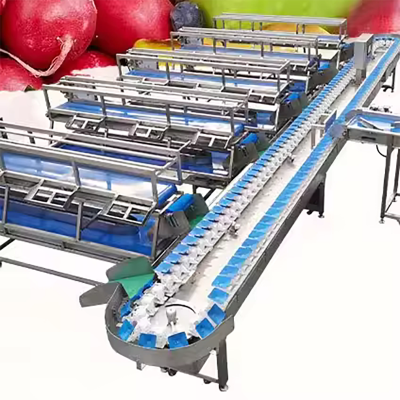 Palm Date Walnut Fruit Cup Orange Mangosteen Pepper Track Ball Size Sort Sorting Machine for Waxing