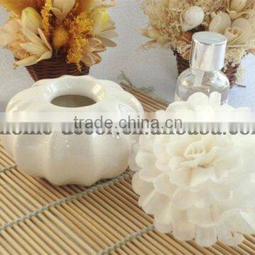 100ml Ceramic Aroma Diffuser/aroma Reed Diffuser /home Fragrance Diffuser Quality Choice photo-6
